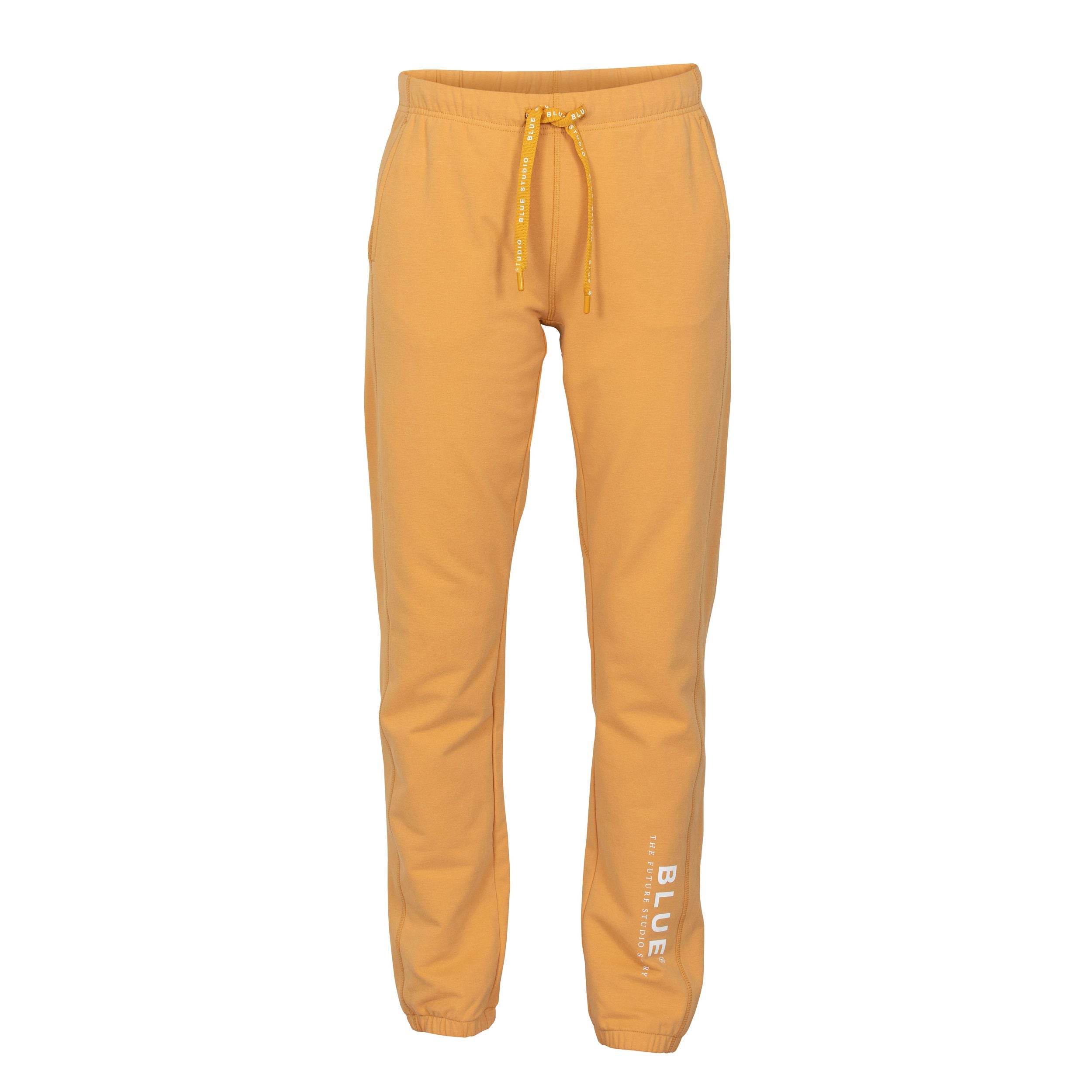 Blue Sportswear Jogger Hose "Base Pants"